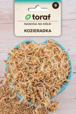 Põld-lambalääts idandamiseks 20g