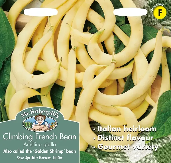 Aeduba ANELLINO GIALLO
