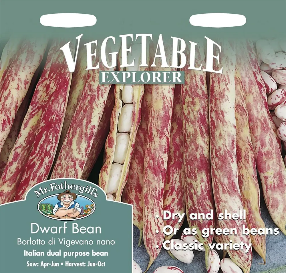 Aeduba BORLOTTO DI VEGEVANO
