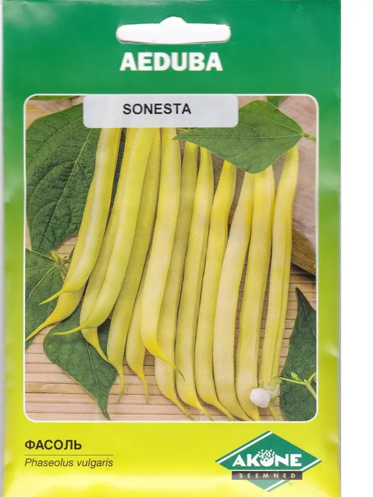 Aeduba SONESTA  20 g