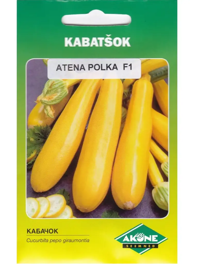 Kabatšok ATENA POLKA F1, kollane; 10 tk.