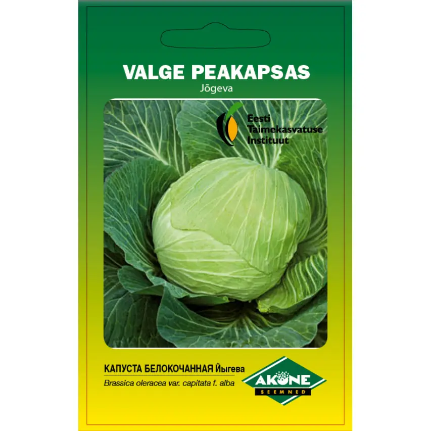 Kapsas JÕGEVA; 1 g
