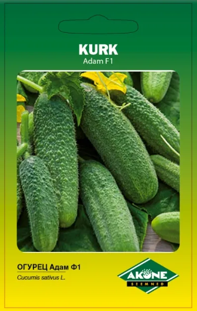 Kurk ADAM F1; 10 tk