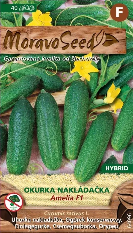 Kurk AMELIA F1, 40 s.
