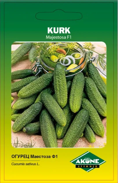Kurk MAJESTOSA F1, 10 s