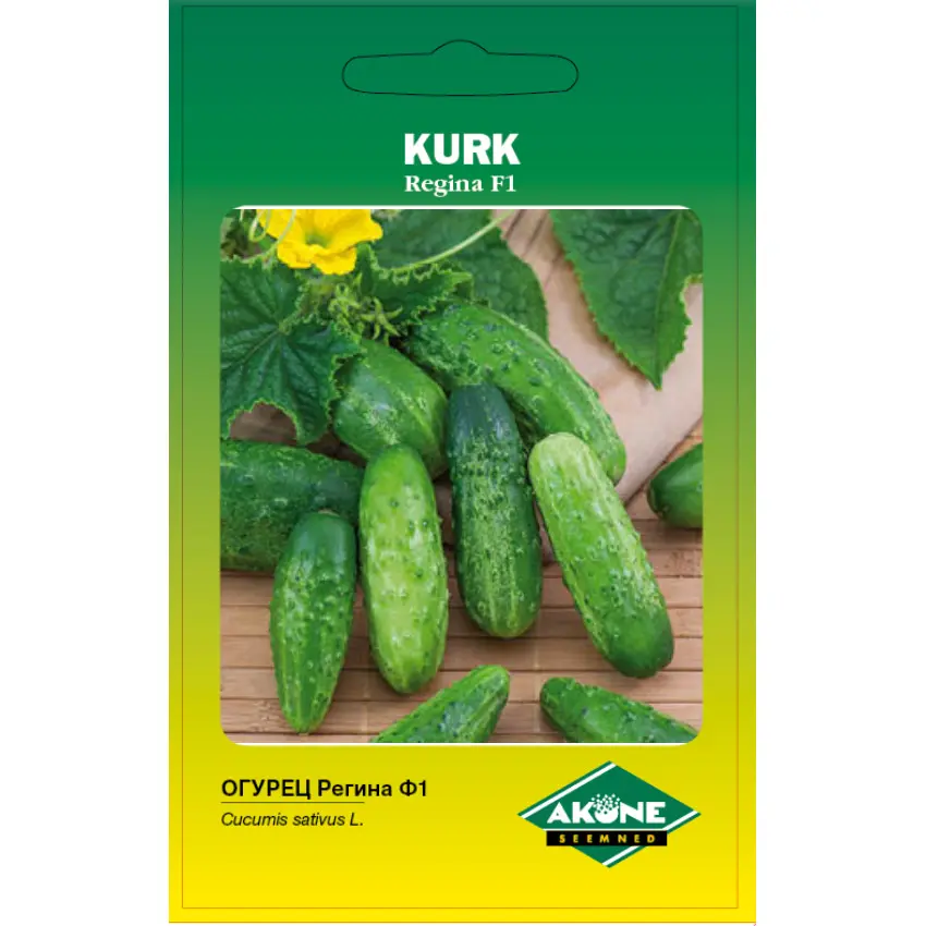 Kurk REGINA F1;  1 g
