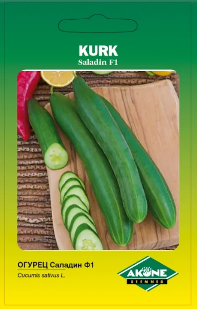 Kurk SALADIN F1, 10 tk.