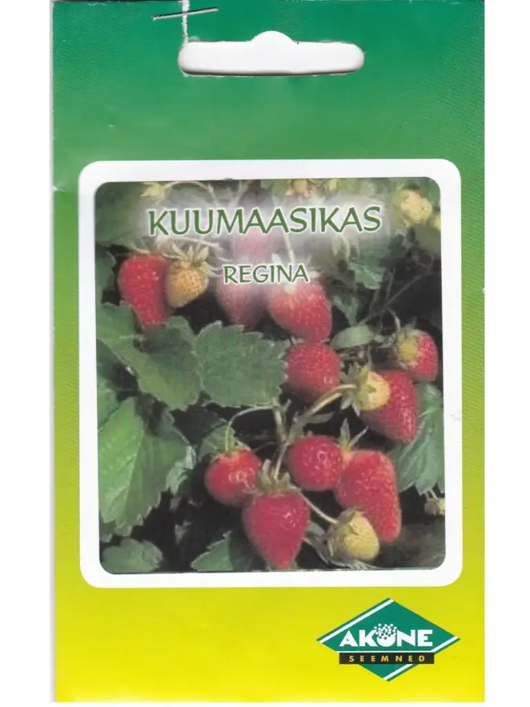 Kuumaasikas REGINA 0,1 g.