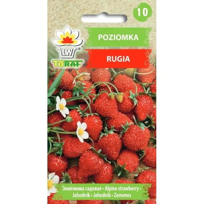 Kuumaasikas RUGIA 0,2 g