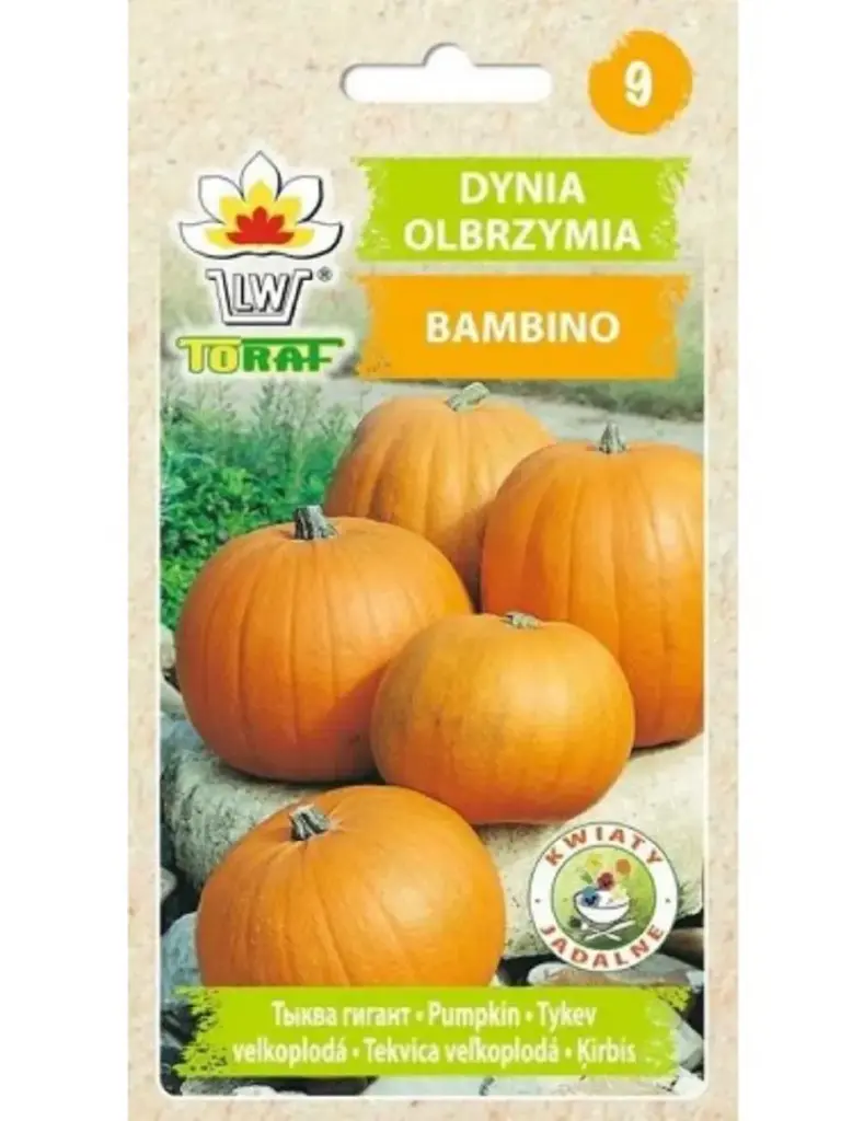 Kõrvits BAMBINO 5 g