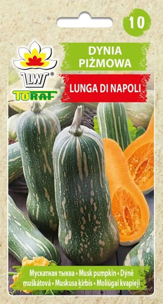 Kõrvits LUNGA di NAPOLI 4g