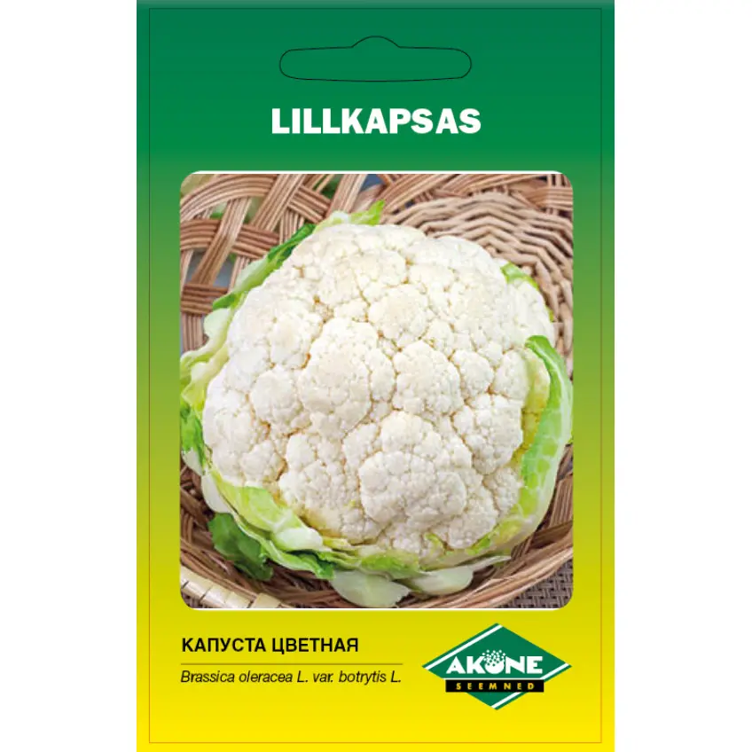 Lillkapsas SNOWBALL / ERFURT 14 ; 0,5 g