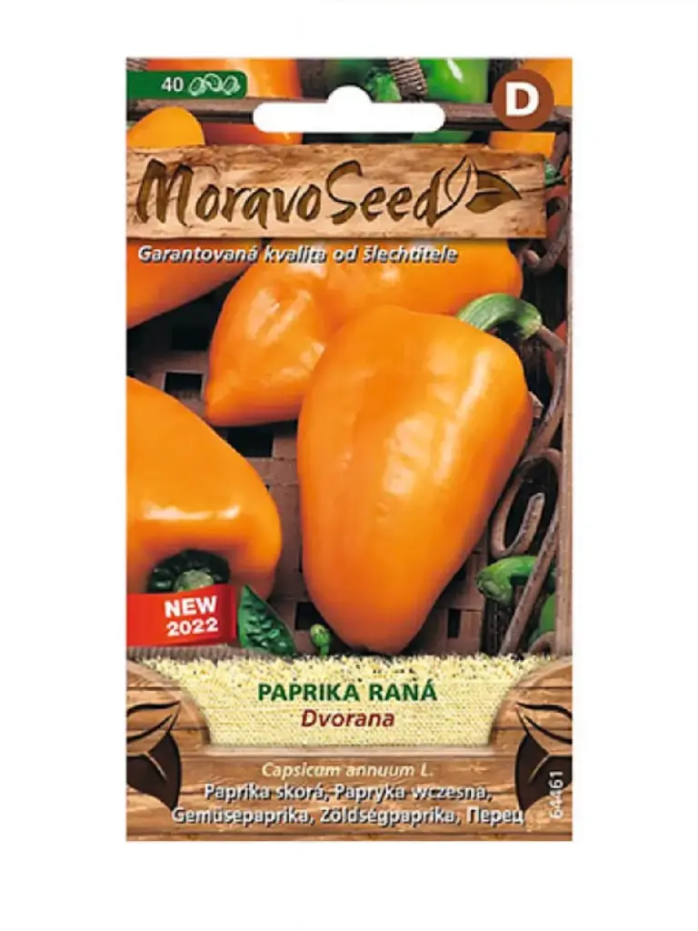 Magus pipar DVORANA 40 s.