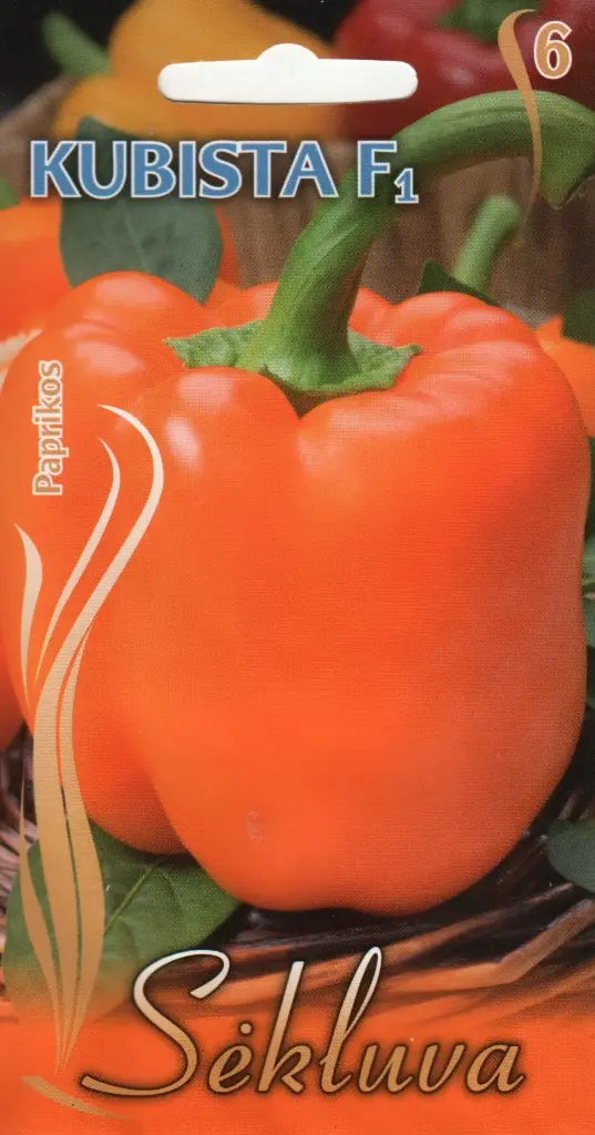 Magus pipar KUBISTA F1