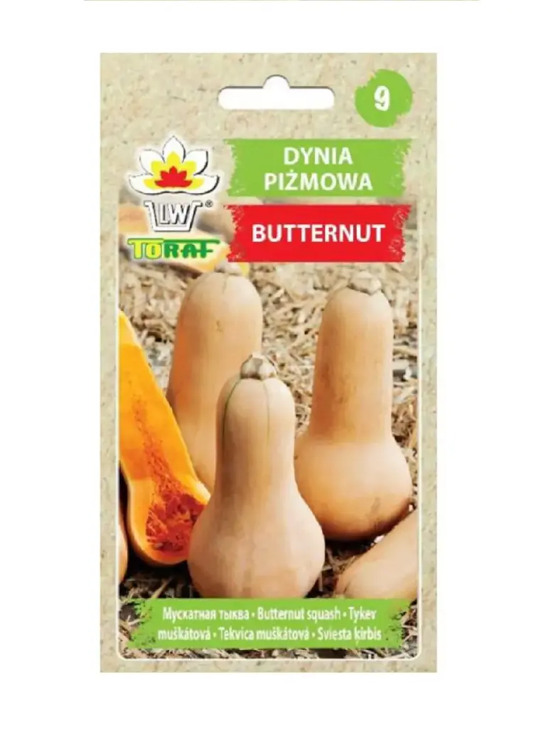 Muskaatkõrvits BUTTERNUT 5g