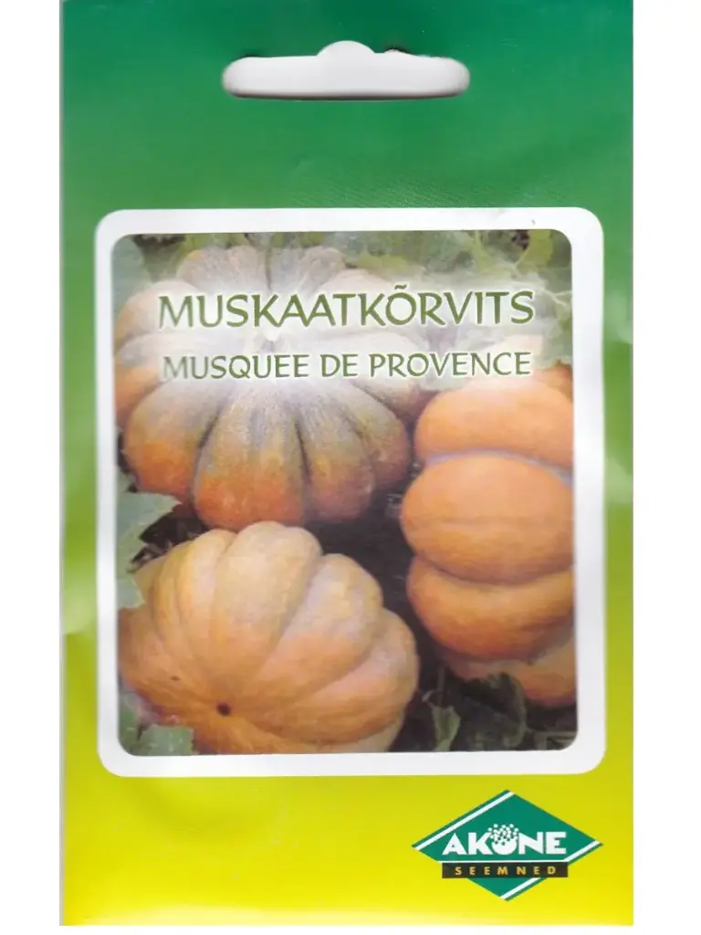 Muskaatkõrvits PROVENCE; 10 s.