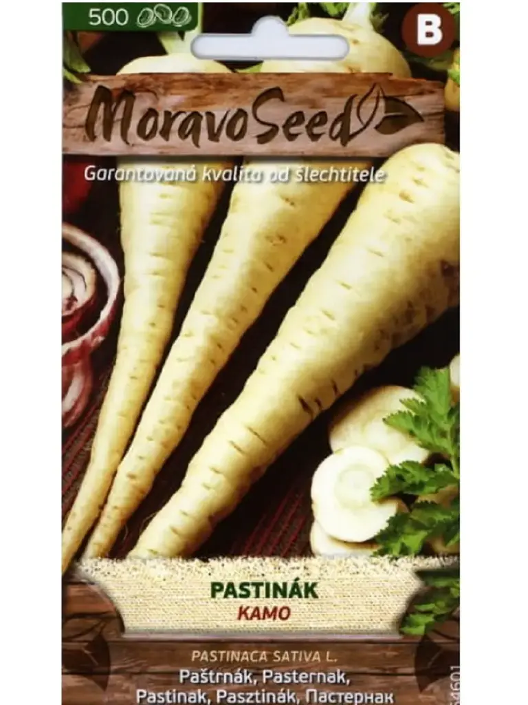 Pastinaak KAMO 500 s.