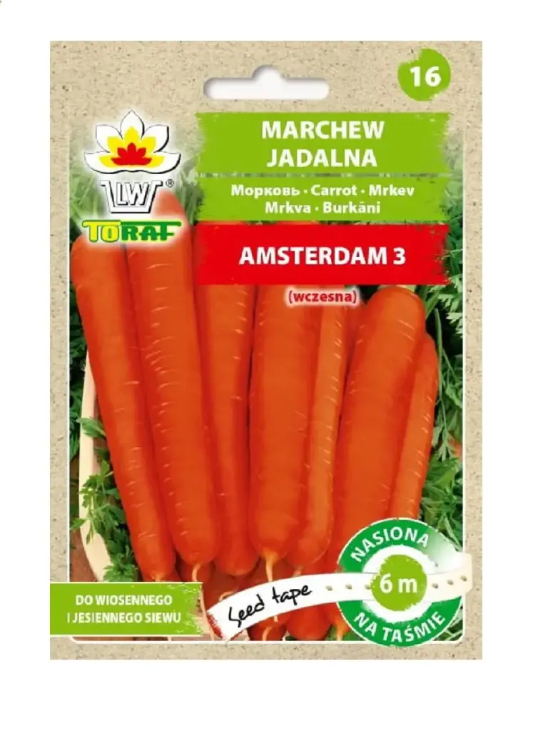 Porgand AMSTERDAM 3 lindil 6 m