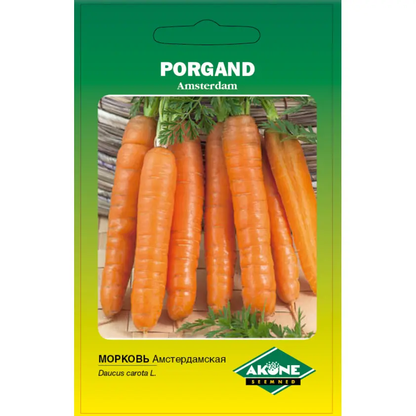 Porgand AMSTERDAM; 4 g