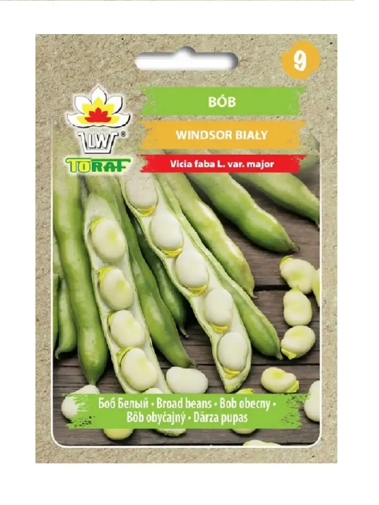 Põlduba WINDSOR BIALY 50 g