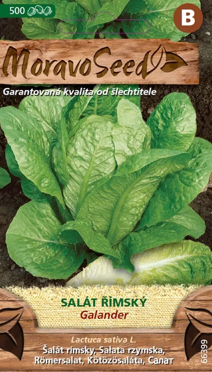 Rooma salat GALANDER