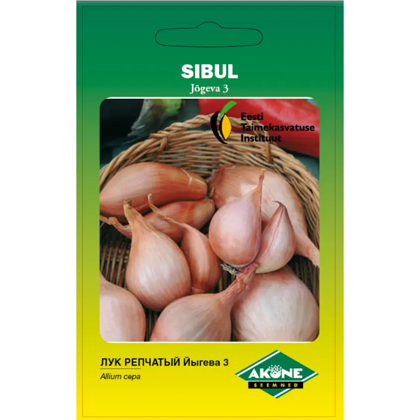 Sibul JÕGEVA 3; 1 g