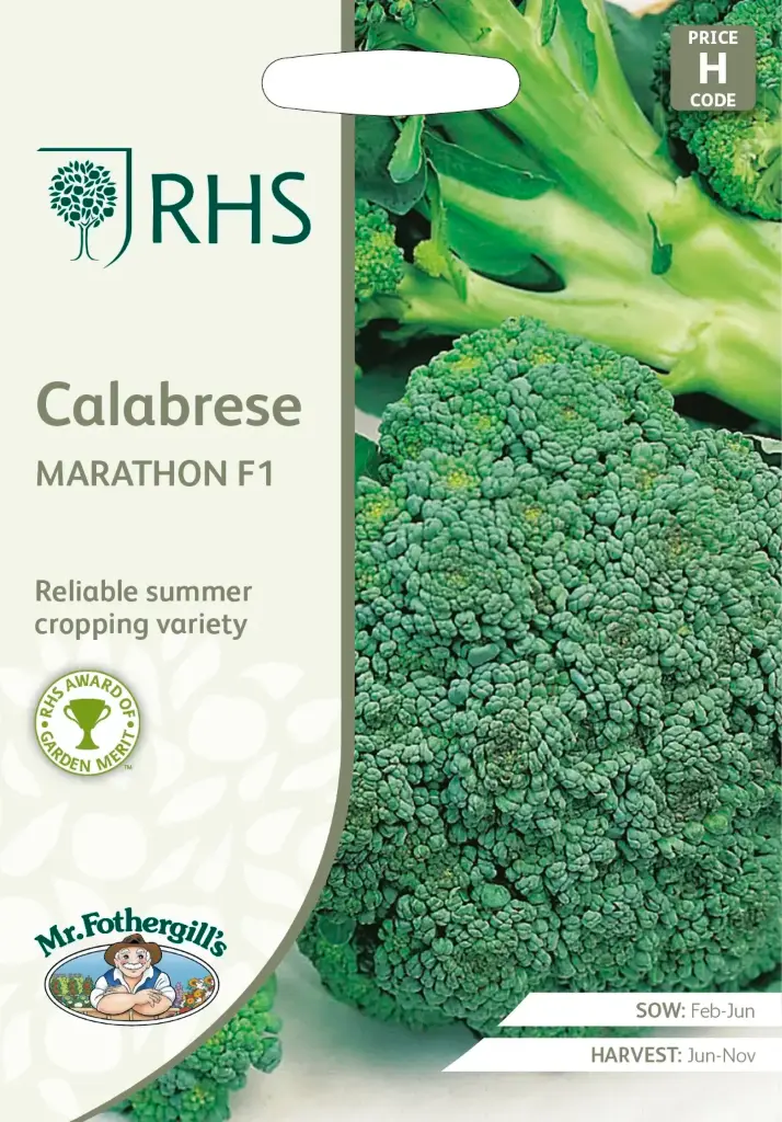 Spargelkapsas CALABRESE
