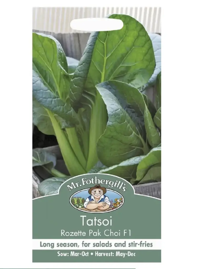 Tatsoi ROZETTE F1