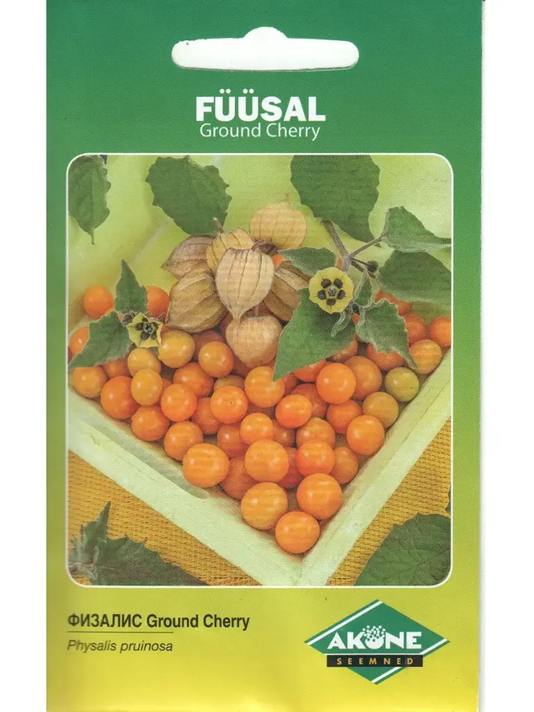 Tikker füüsal GROUND CHERRY; 0,2 g