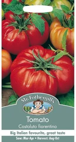 Tomat COSTOLUTO FIORENTINO