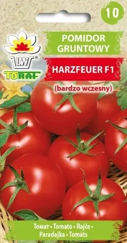 Tomat HARZFEUER 0,3 g