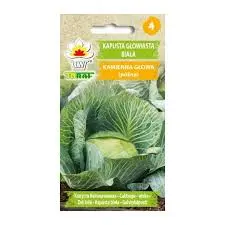 Valge peakapsas KAMIENNA GLOWA 2 g
