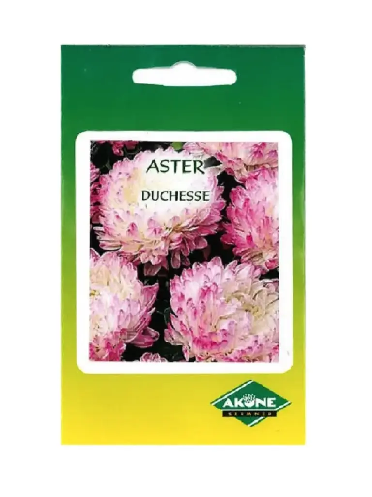 Aedaster DUCHESSE roosa 0,3g