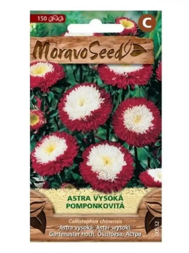 Aedaster, pompoon, punane