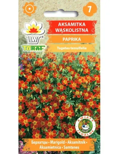 Ahtalehine peiulill PAPRIKA 0,5