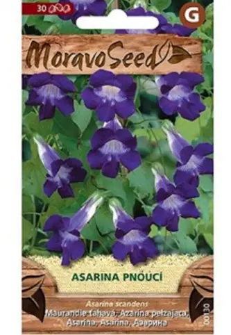 Asariin