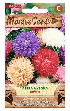 Aster BUKETT, segu
