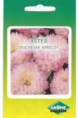 Aster DUSHESSE APRICOT 0,5 g