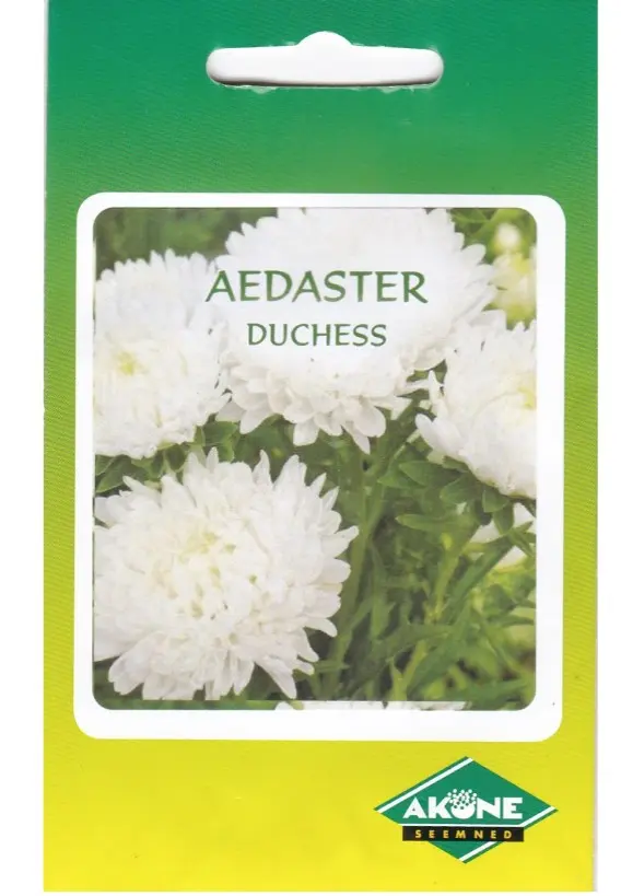 Aster DUSHESSE valge 0,5 g