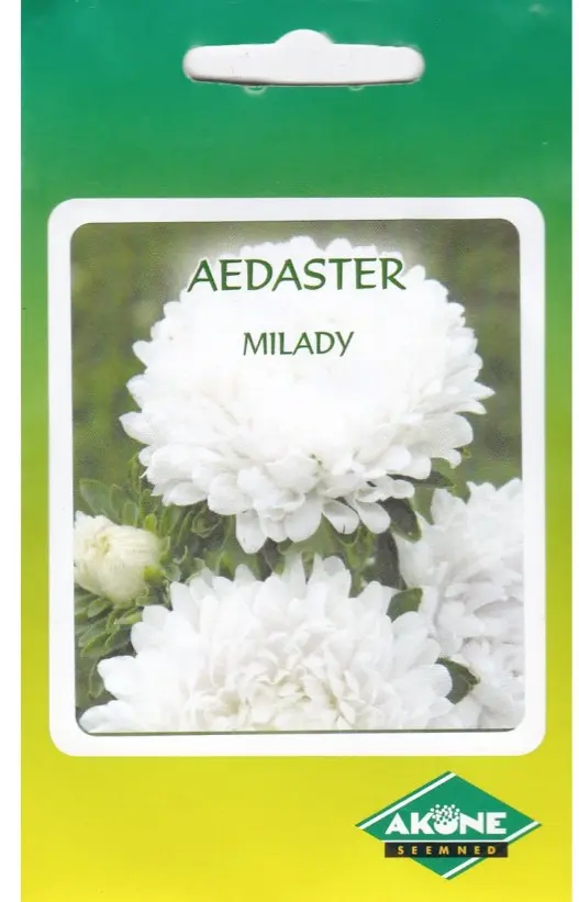 Aster MILADY segu, 25 cm, 0,5 g