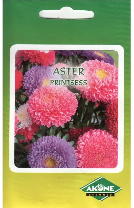 Aster PRINCESS, segu; 0,5 g