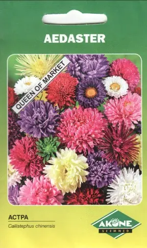 Aster QUEEN OF MARKET; 1 g