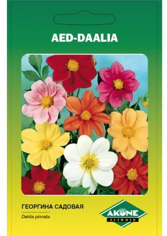 Daalia MIGNON; 1 g