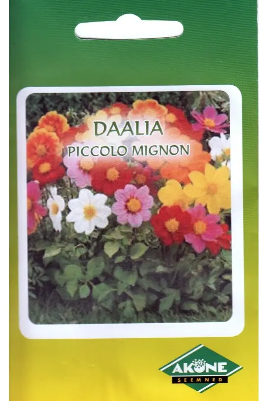 Daalia PICCOLO MIGNON 1 g
