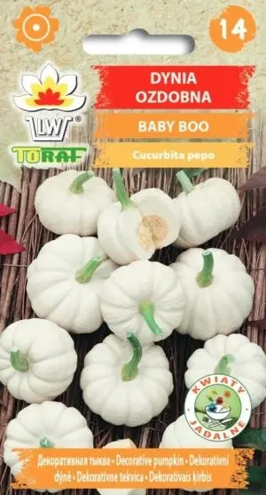 Dekoratiivkõrvits BABY BOO 2g