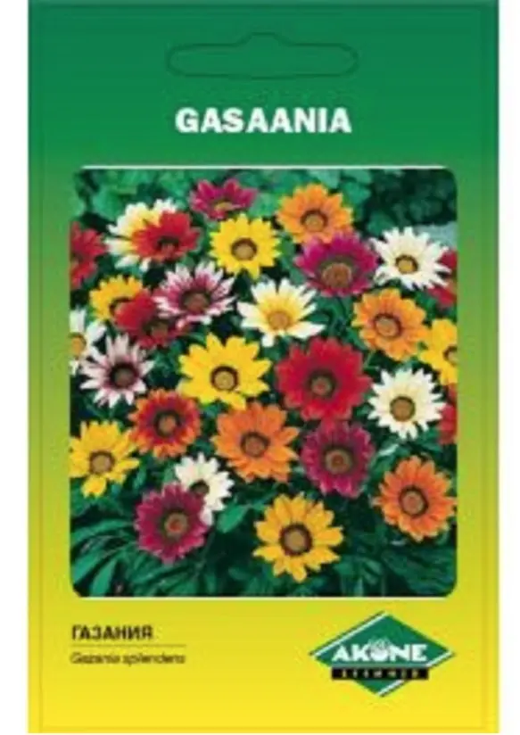 Gasaania EASY GROW; 0,2 g