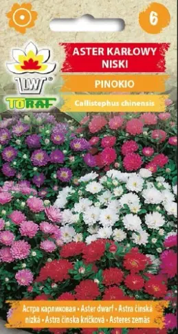 Hiina aedaster PINOKIO , kääbus 0,3g