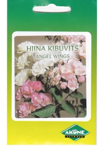 Hiina kibuvits ANGEL; 20 s