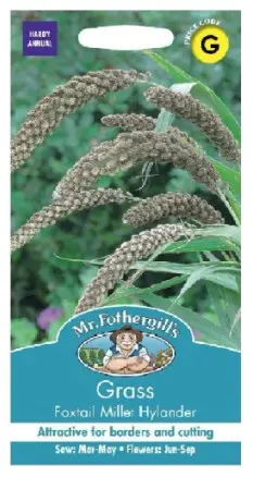 Itaalia kukeleib  MILLET HYLANDER