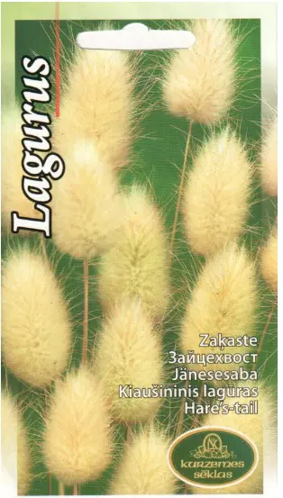 Jänesesaba 1g